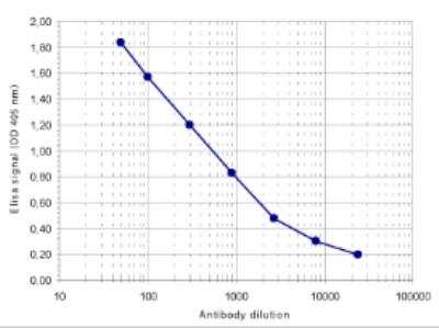 ELISA: Histone H4 [Trimethyl Lys20] Antibody [NBP2-59259]